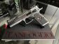Pistolet TANFOGLIO STOCK MASTER XTREME OPTIC - Silver